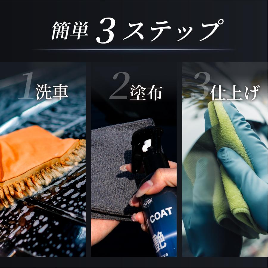 EZY COAT 艶 SG-3002 GSPEK CAR BEAUTY PRO 監修 艶出し コーティング