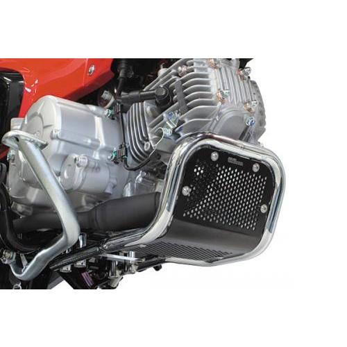 スペシャルパーツ武川 武川 TAKEGAWA 06-00-0009 エンジンガードキット