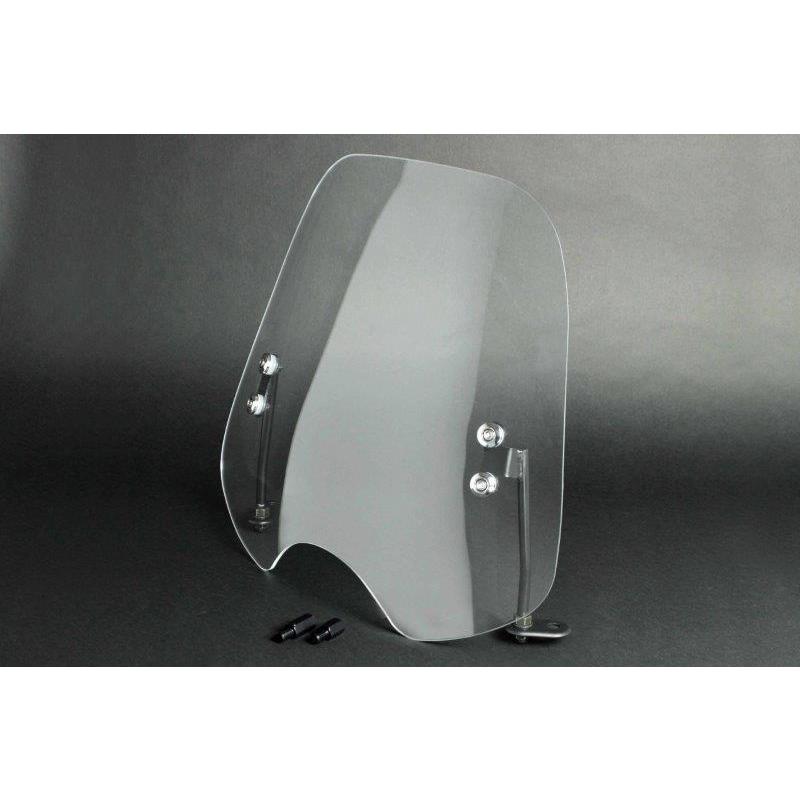 スペシャルパーツ武川 武川 TAKEGAWA 09-11-0325 スクリーンキット