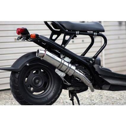 REALIZE リアライズ マフラー イグジスト SUS ZOOMERズーマー REALIZE リアライズ マフラー イグジスト SUS ZOOMERズーマー