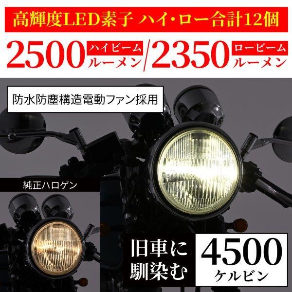 しん　 Bellof（ベロフ） 35479 デイトナ LEDヘッドランプバルブ プレシャス