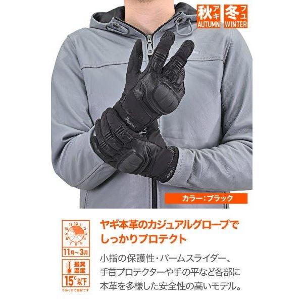 DAYTONA（デイトナ） 49092 Daytona DG-013 コンフォートウインター
