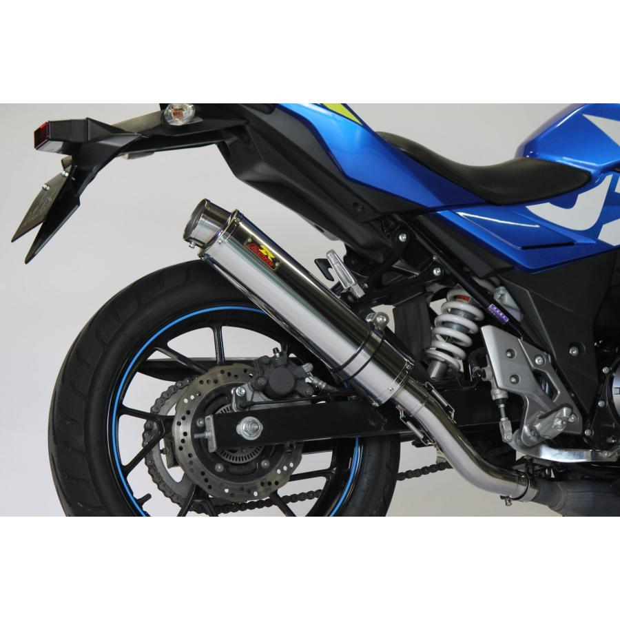 Realize GSX250R Aria スラッシュ(TypeS) マフラー 節約 Realize