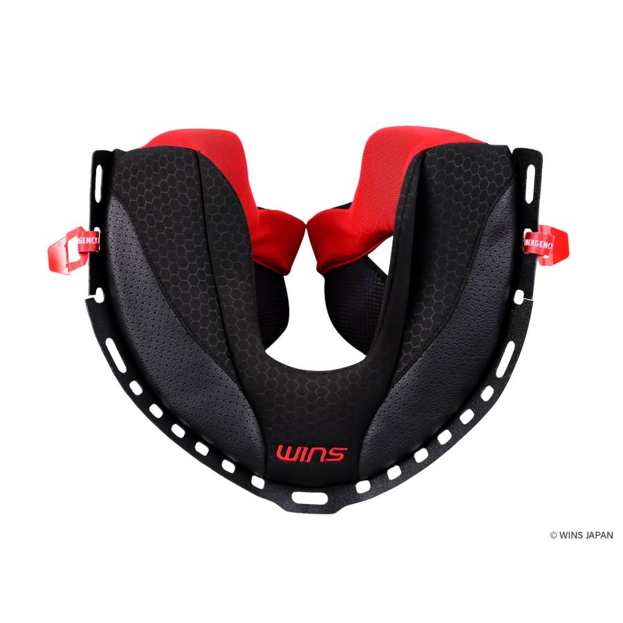 在庫有当日発送 WINS ウインズ A-FORCE RS 12K 71712 フルフェイス ヘルメットドライカーボンモデル Lサイズの画像
