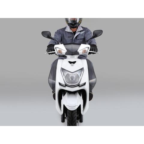 DAYTONA（デイトナ） 95916 サイドバイザー 左右セット スモーク