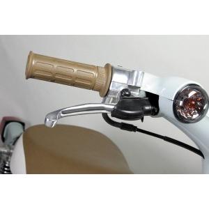 スペシャルパーツ武川 武川 TAKEGAWA 06-08-3027 ハイパフォーマンスZ