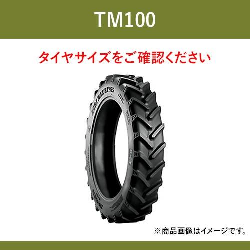 トレルボルグ　トラクター　農業用・農耕用　ラジアルタイヤ（チューブレスタイプ）　95R46　300　パーツマン　2本セット　TM100