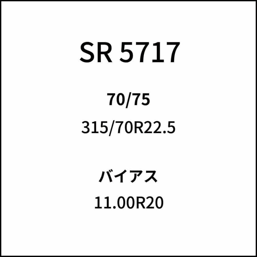 ケーブルチェーン(タイヤチェーン)　SCC　JAPAN　6ペア価格(タイヤ12本分)　バス用(SR)　SR5717　パーツマン　大型トラック
