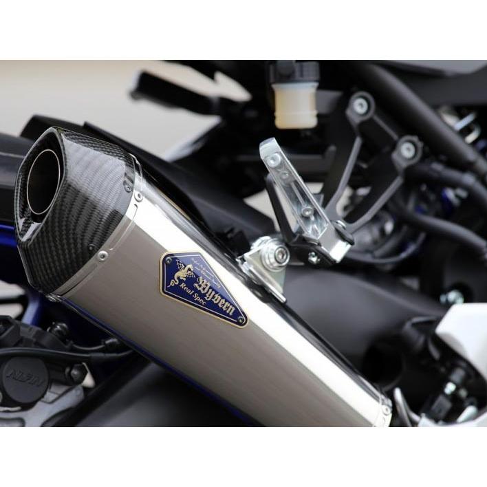 2024人気新作 XSR900/MT-09(-16')/TRACER ワイバンリアル アールズギア パーツ