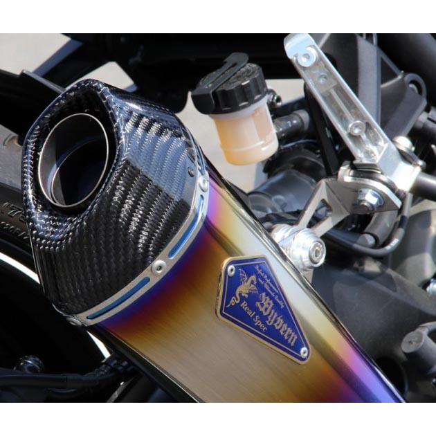 レイト商会 MT-09(-16')/TRACER/XSR900 アールズギア ワイバンリアル