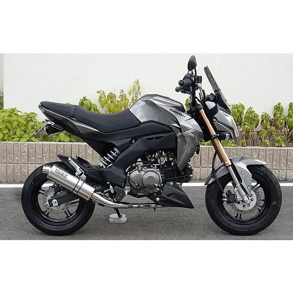 WR WR'S Kawasaki Z125PRO用 チタンショートオーバルソリッド