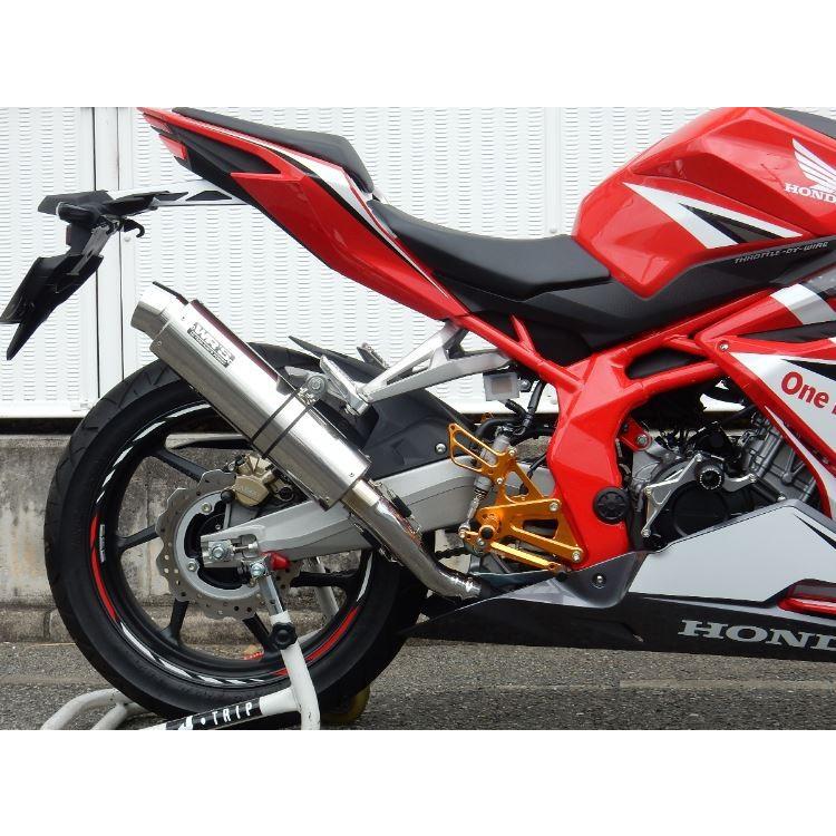 WR'S HONDA CBR250RR ステンレス/ステンレス スリップオンサイレンサー（BF1230JM）の画像