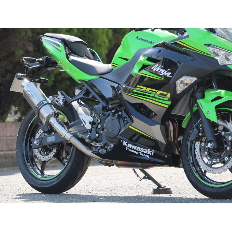 WR WR'S Kawasaki 2018 Ninja250 ニンジャ 2BK-EX250P チタンオーバル