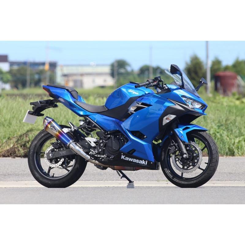 アールズギア Kawasaki Ninja250 ニンジャ250 用 ワイバンリアル