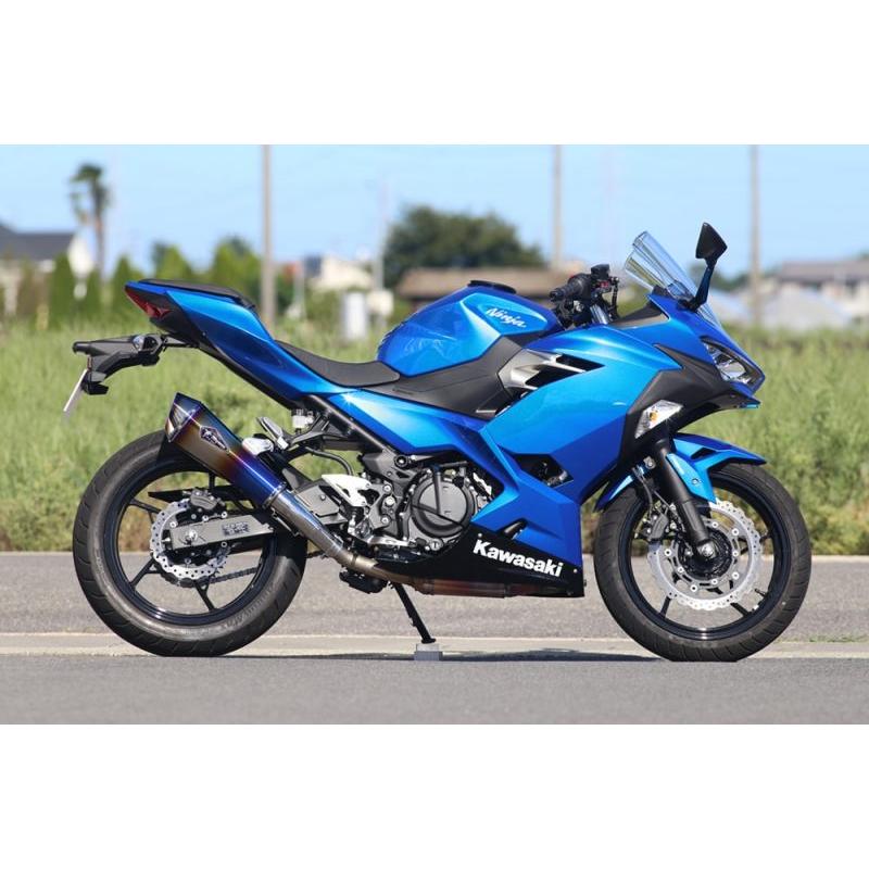 アールズギア Kawasaki Ninja250 ニンジャ250 用 ワイバンリアル