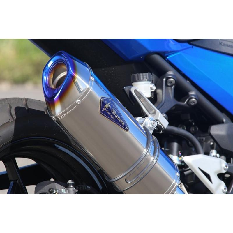 アールズギア Kawasaki Ninja250 ニンジャ250 用 ワイバンリアル