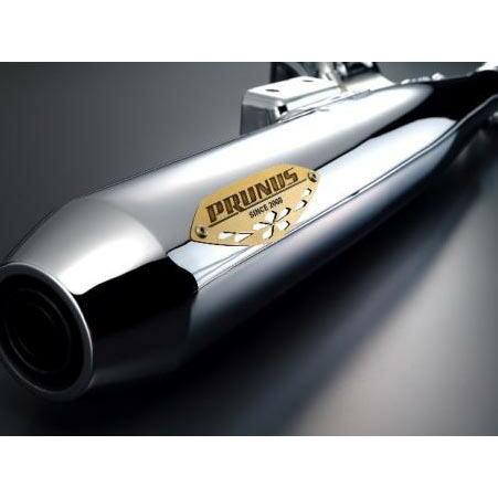 プラナスマフラー　PRUNNUS カーボンファイバー デュアルマフラー 2025年最新】PRUNUS マフラー・排気系の人気アイテム - メルカリ