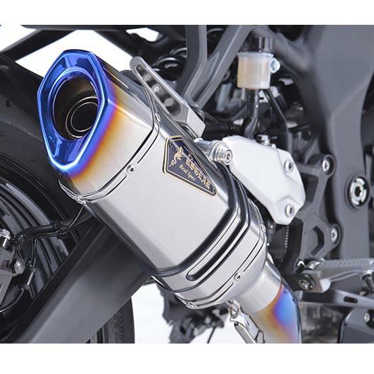 アールズギア Kawasaki Ninja ZX-25R リアルスペック チタンフル