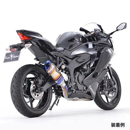 アールズギア Kawasaki Ninja ZX-25R リアルスペック チタンフル