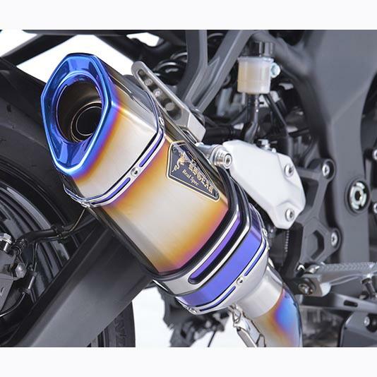 アールズギア Kawasaki Ninja ZX-25R リアルスペック チタンフル