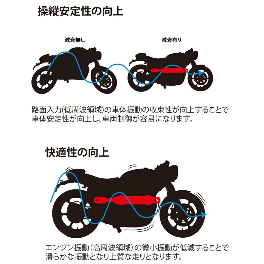 ACTIVE（アクティブ） Kawasaki ZRX1200R/S/DAEG パフォーマンスダンパー 13691703