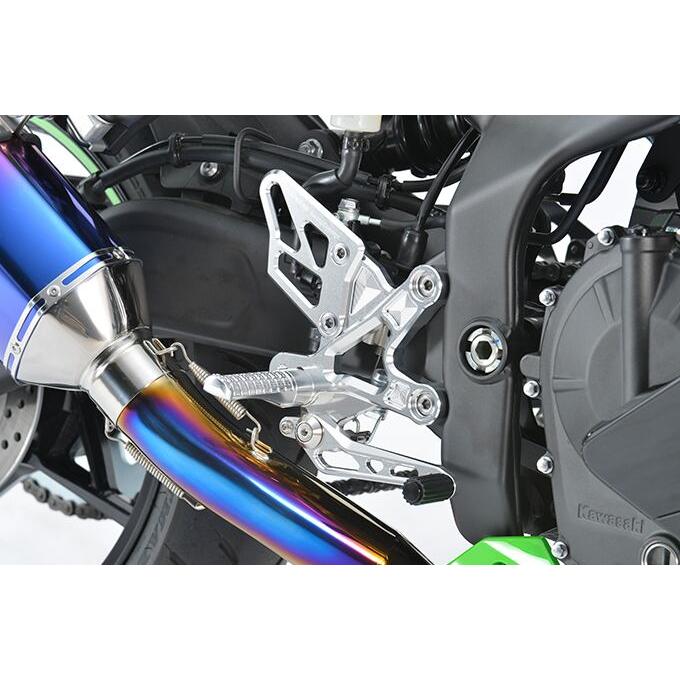 アールズギア ZX-25R・ZX-4R ライディングステップ （クリアシルバー