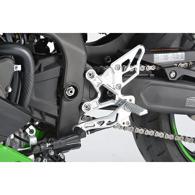 アールズギア ZX-25R・ZX-4R ライディングステップ （クリアシルバー