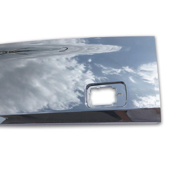 いすゞ NEW ギガ メッキ ドア プロテクター ブリスター 左右セット