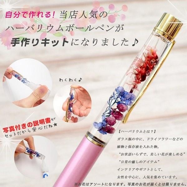 メール便送料無料 ハーバリウム ボールペン 作成キット (09) ハーバリウムボールペン プレゼント 文房具 ペン 卒業記念品 母の日 md 父の日 国内発送 |  | 02