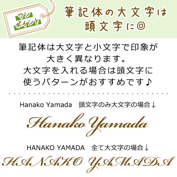 新学期値下げセール対象❣️ハーバリウムセット❣️その他使い道は工夫次第❣️ メール便送料無料 ハーバリウムボールペン (60) 完成品 ハーバリウム