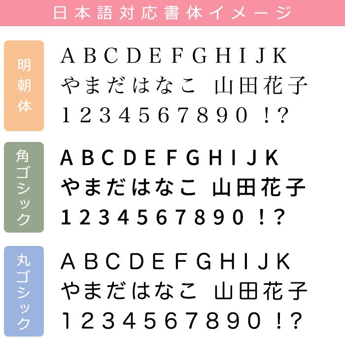 メール便送料無料 ハーバリウムボールペン (60) 完成品 ハーバリウム