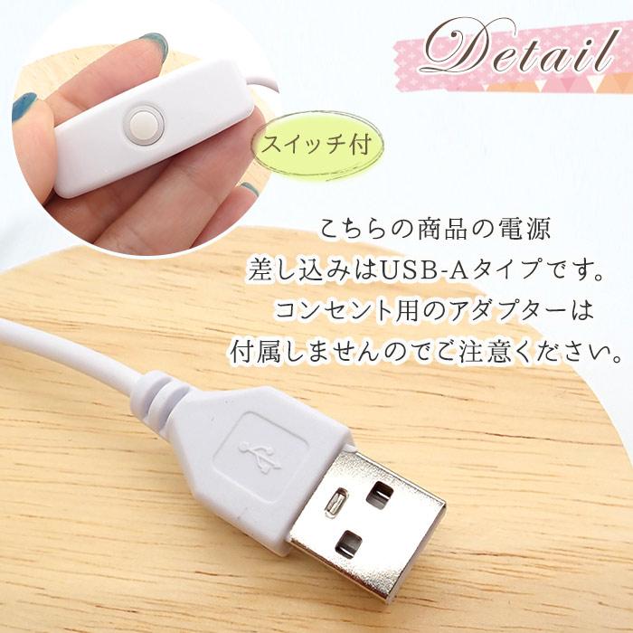 スカル LEDライト USB給電 インテリアランプ ハンドメイド シャーレ ディスプレイ用 木製 LEDライト セット 台座 照明 電球色 USB