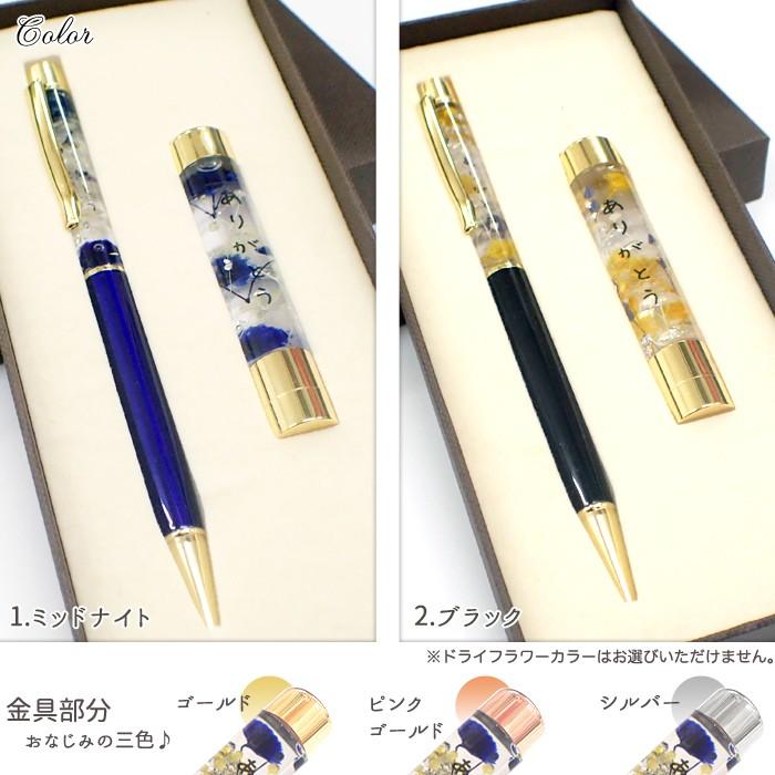 ハーバリウムボールペン ＆ 印鑑 父の日セット (17) シャチハタ ハー