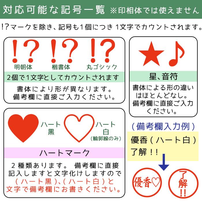 ハーバリウムボールペン ＆ 印鑑 セット (8) レインボー 印相体