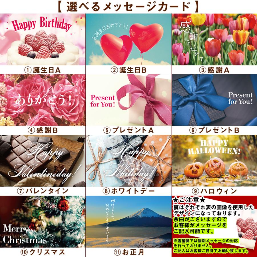 シマエナガ印鑑ケース☆ハーバリウムボールペンセット シマエナガ印鑑