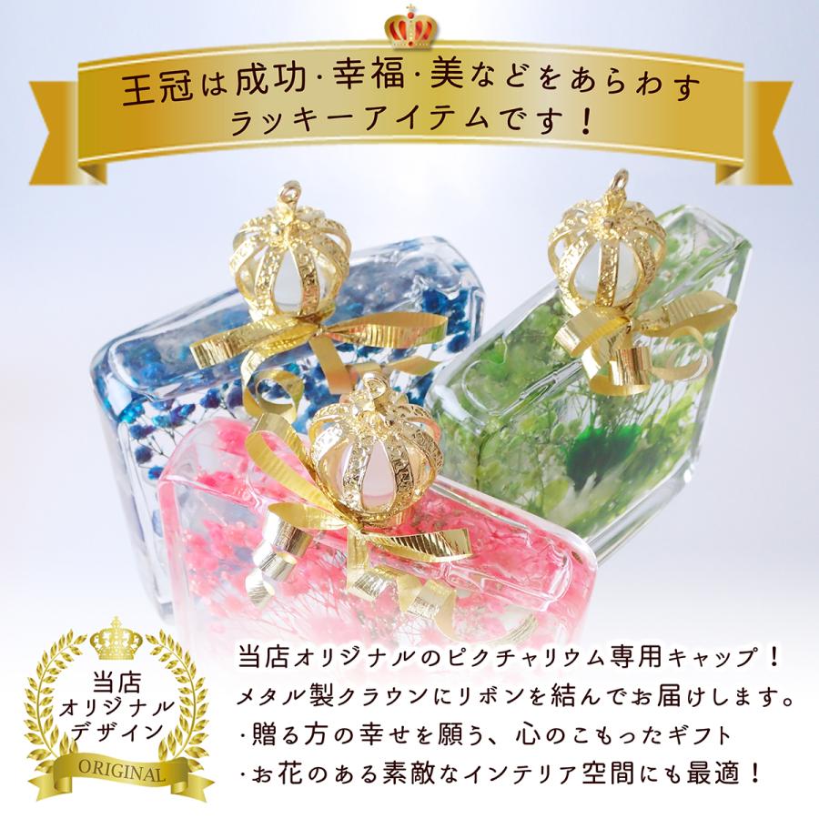 ハーバリウム (01) 完成品 Picturerium プレゼント 誕生日 母の日