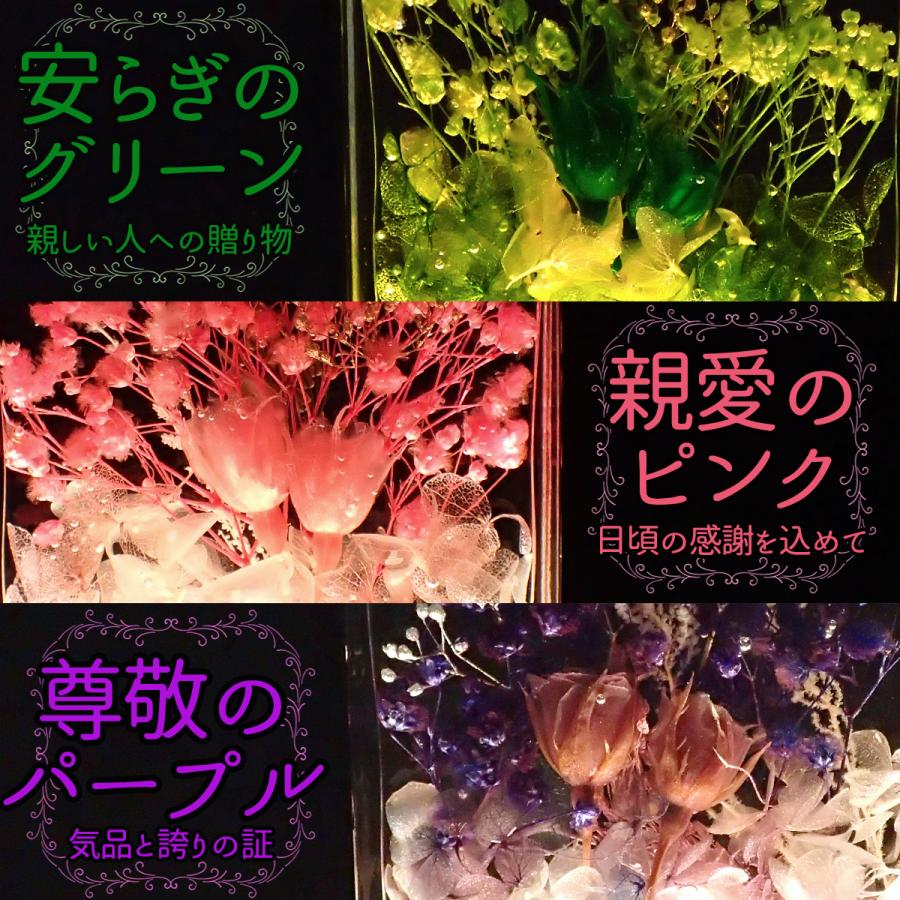 ハーバリウム☆ Order☆ ハーバリウム (01) 完成品 Picturerium プレゼント 誕生日 母の日