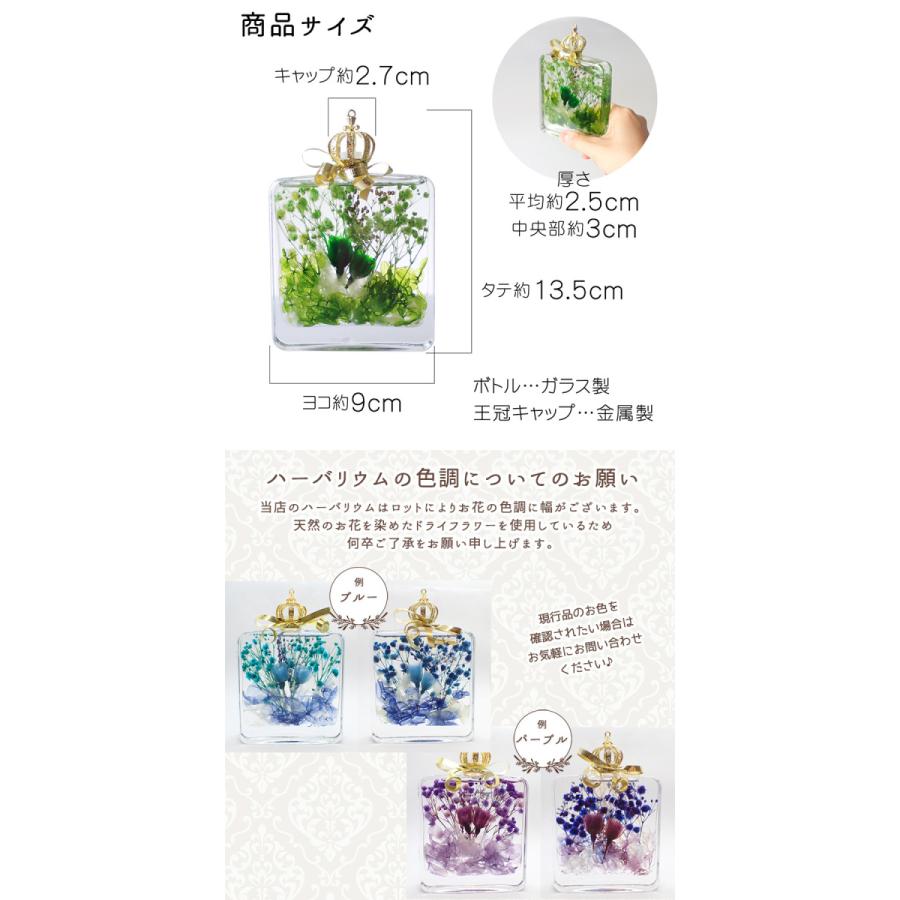 ハーバリウム (01) 完成品 Picturerium プレゼント 誕生日 母の日