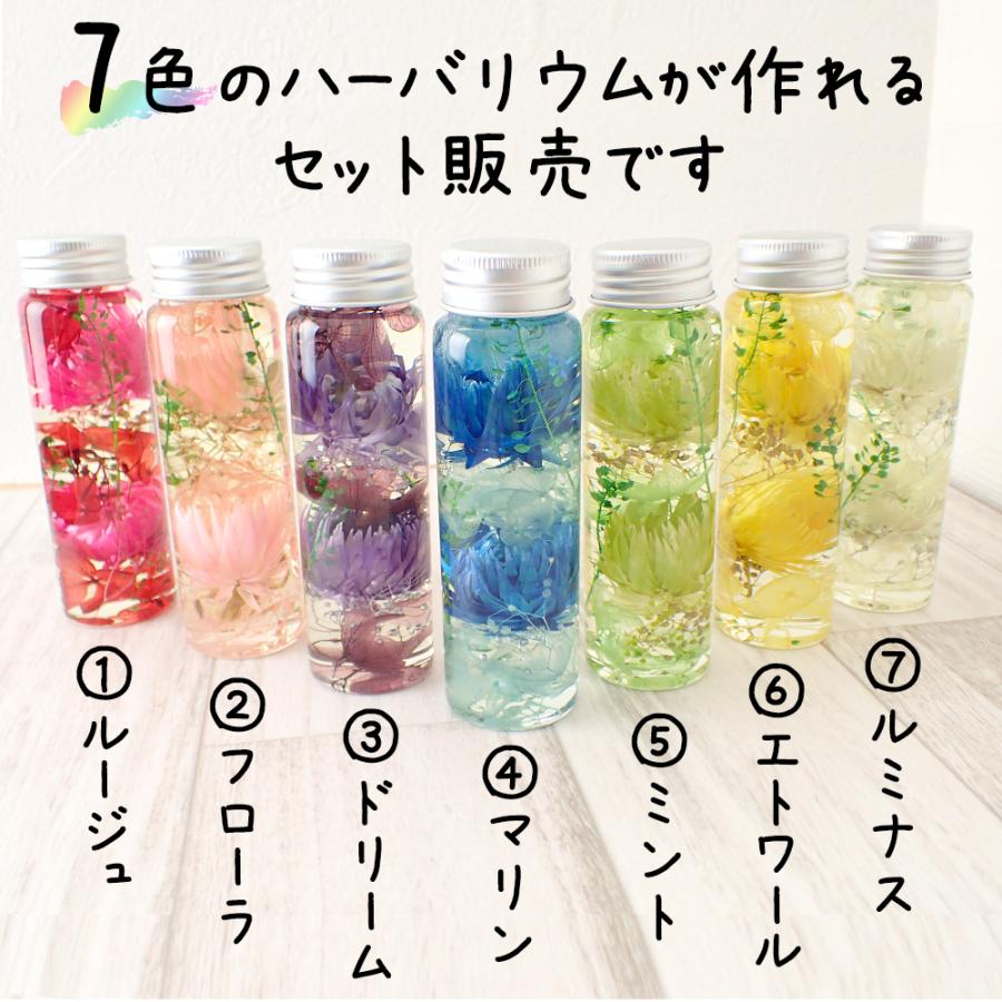 ポイント5倍☆ ハーバリウム キット (06) 7本セット 7カラー 瓶