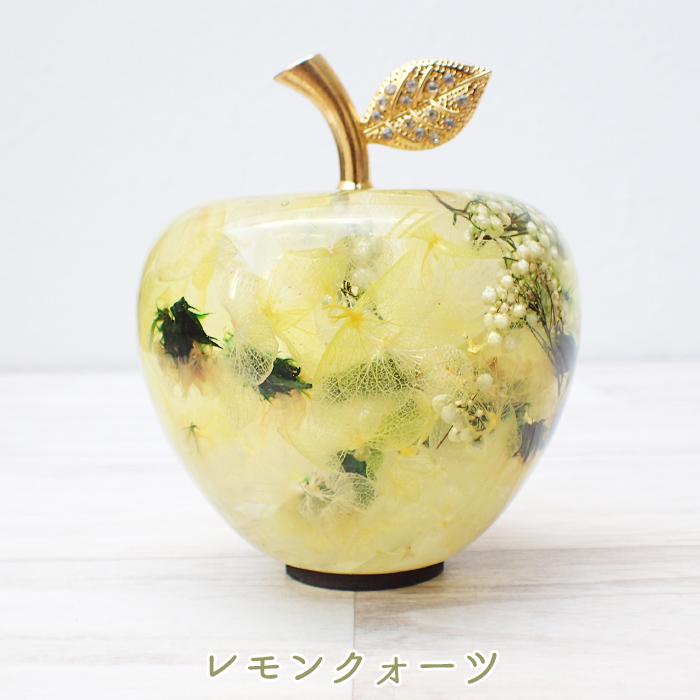 ハーバリウム (07) アップル ナチュラル 完成品 1個 リンゴ りんご 
