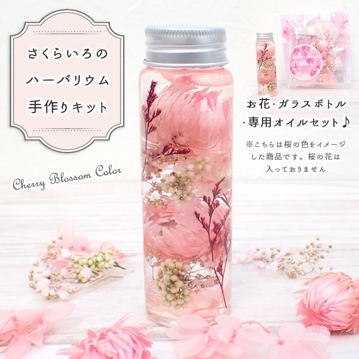 ハーバリウム キット (10) さくらいろ ピクチャリウム 桜 プレゼント