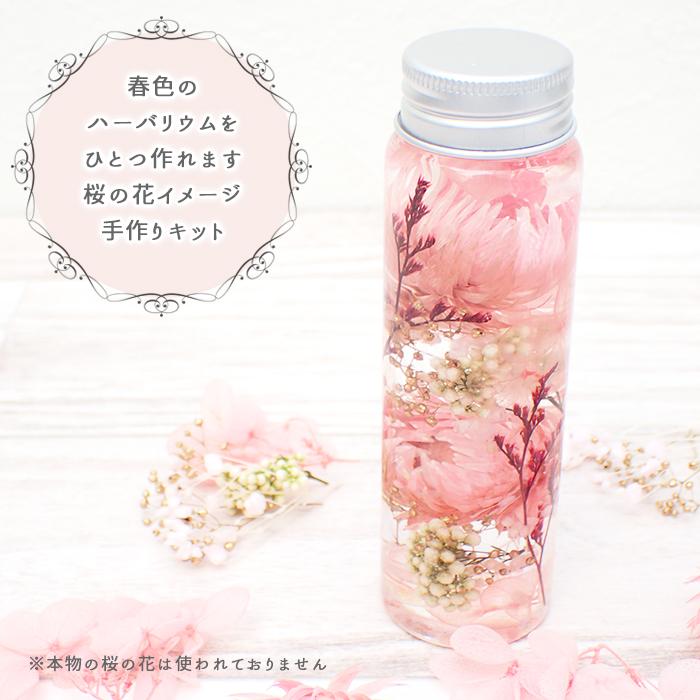 ハーバリウム キット (10) さくらいろ ピクチャリウム 桜 プレゼント