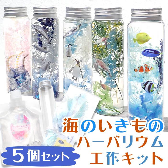 夏休み 工作キット 海の生き物 ハーバリウム 5種セット 説明書付き 海