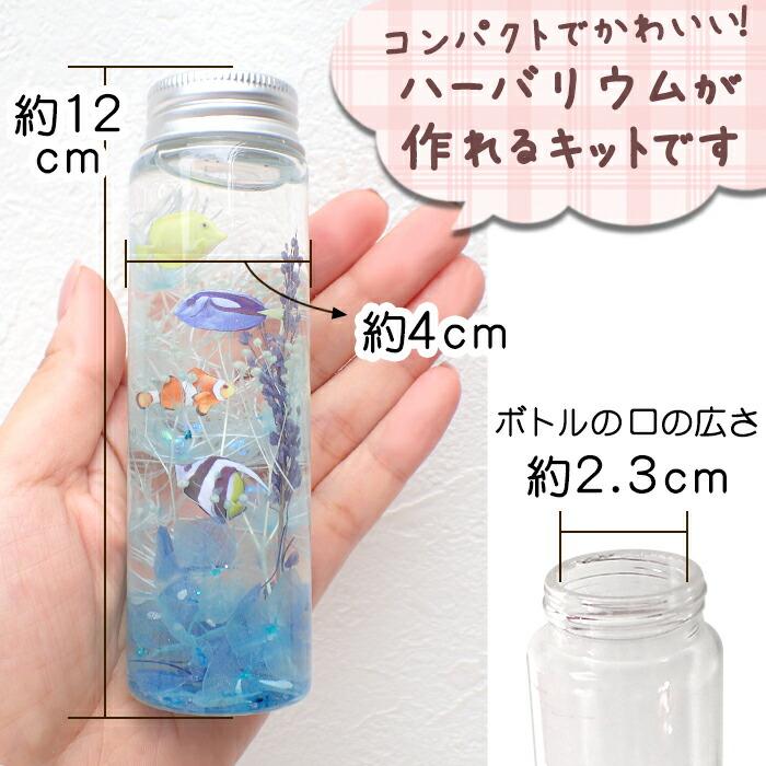 予約販売 夏休み 工作キット 海の生き物 ハーバリウム 5種セット 説明