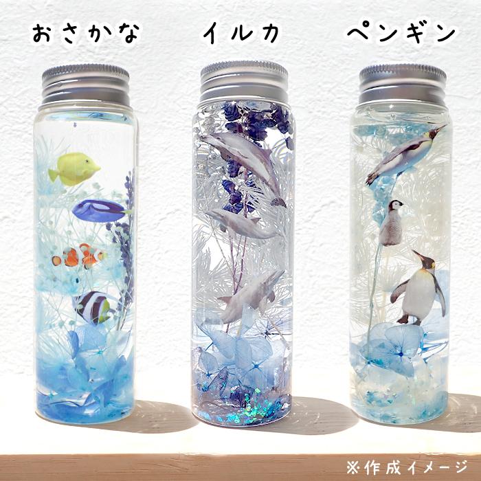 予約販売 夏休み 工作キット 海の生き物 ハーバリウム 5種セット 説明