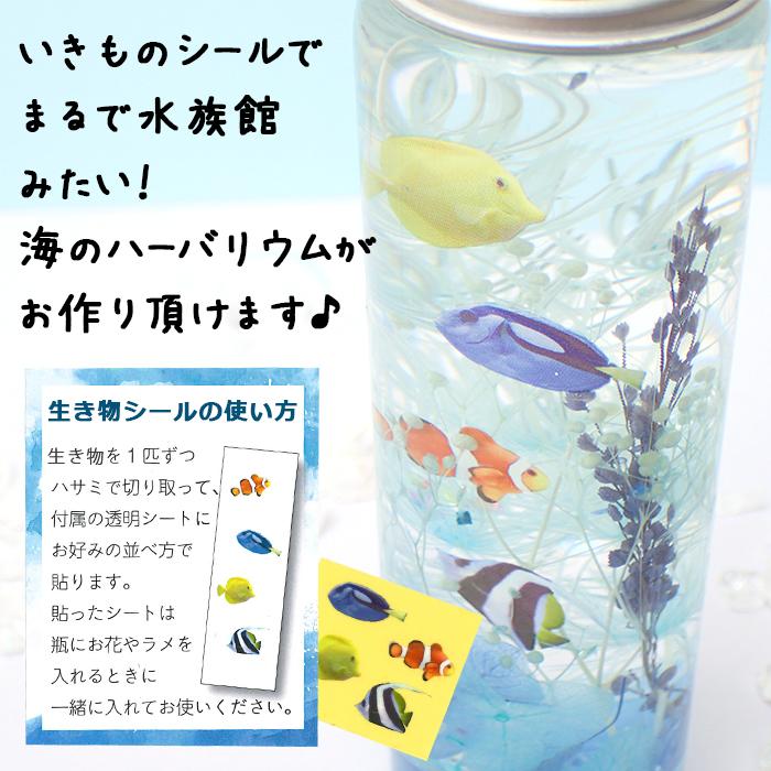 予約販売 夏休み 工作キット 海の生き物 ハーバリウム 5種セット 説明