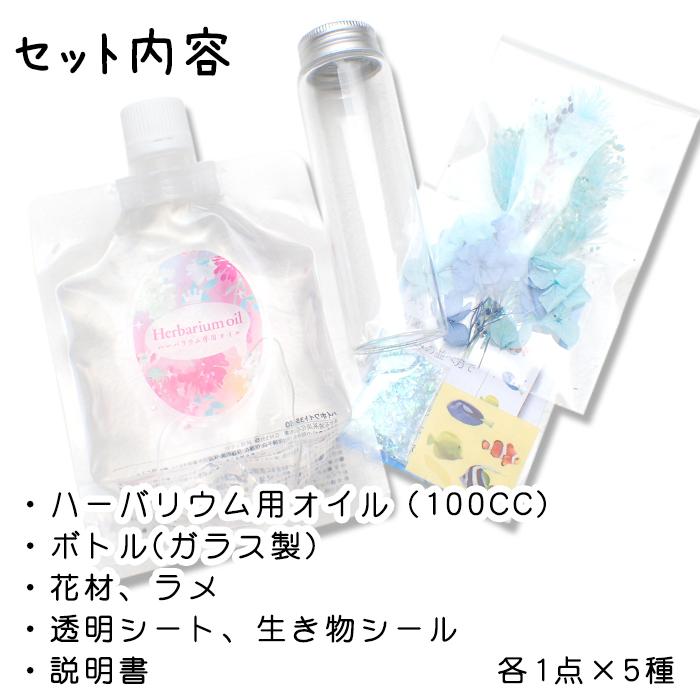 予約販売 夏休み 工作キット 海の生き物 ハーバリウム 5種セット 説明