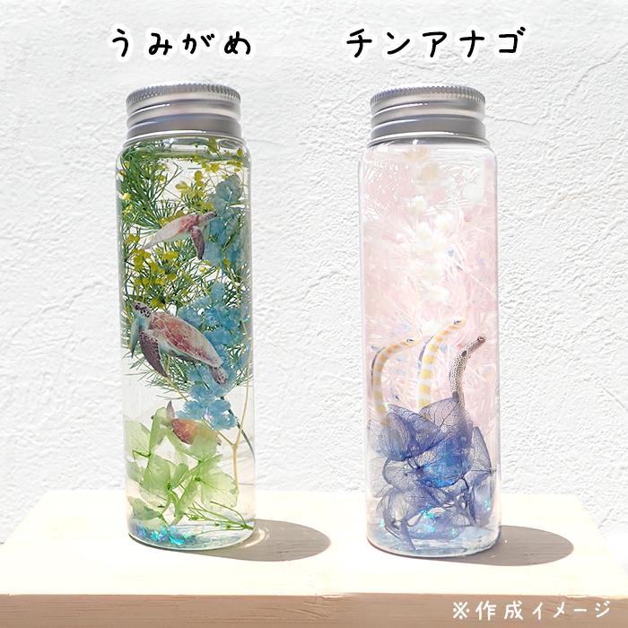 予約販売 ハーバリウム 夏休み 工作キット 海の生き物 海 作成キット 1