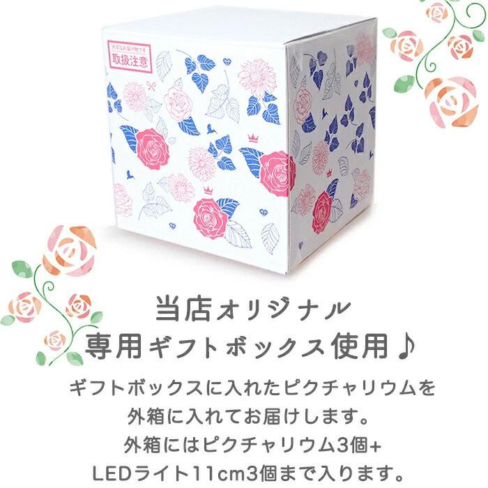 送料無料 母の日 プレゼント カーネーション ハーバリウム リンゴ