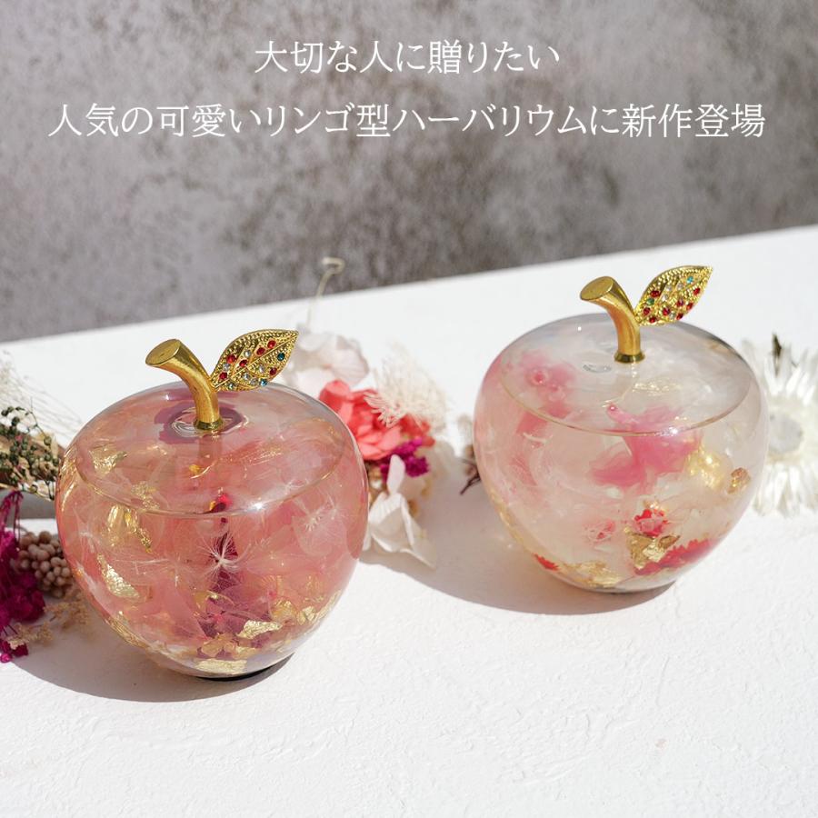 送料無料 母の日 プレゼント カーネーション ハーバリウム リンゴ
